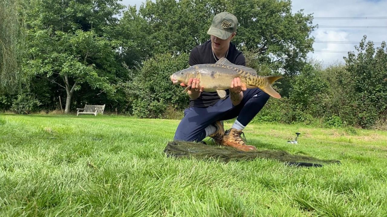 Amber Lodge Hickstead-A Burgess Hill Eksteriør billede